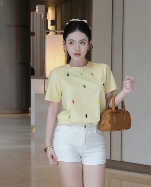 Áo Thun Cao Cấp - A38 - A181 - A182